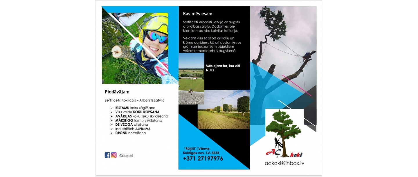 Bīstamo koku zāģēšana, koku kopšana, arborists