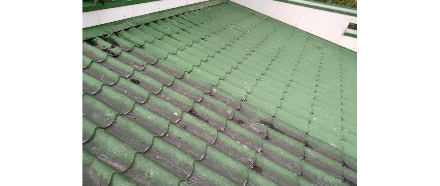 Мойка крыш, Diavers