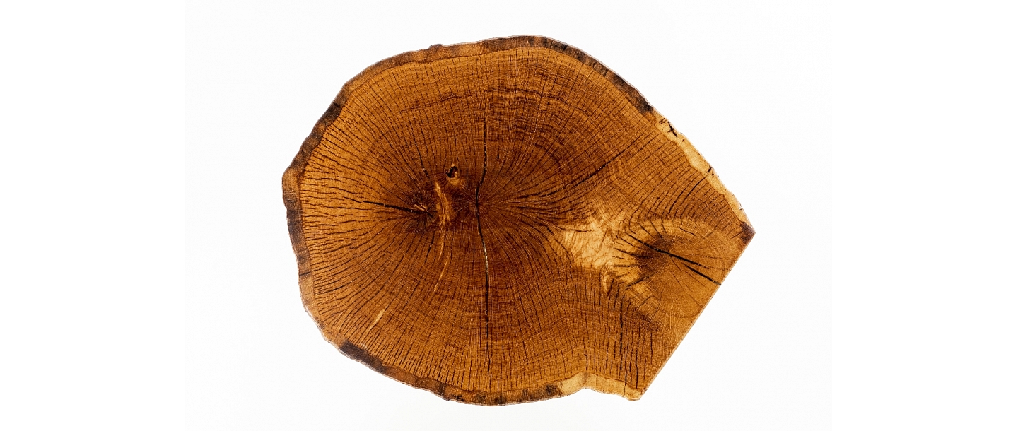 Дизайнерские столы