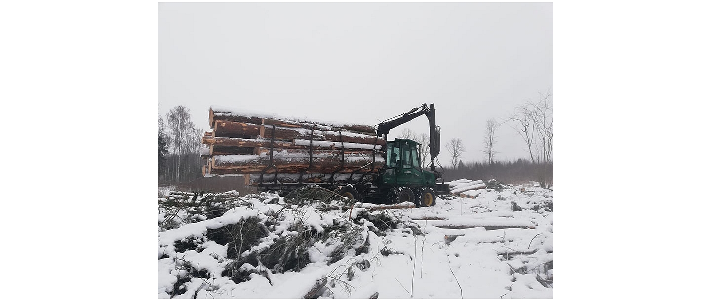Logging