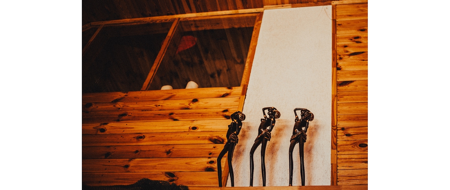 Lieliska pirts, viesu nams "Burziņi"