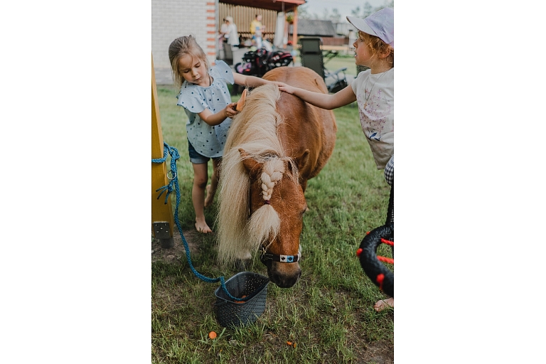 Poniji.lv - ponies for events, children parties