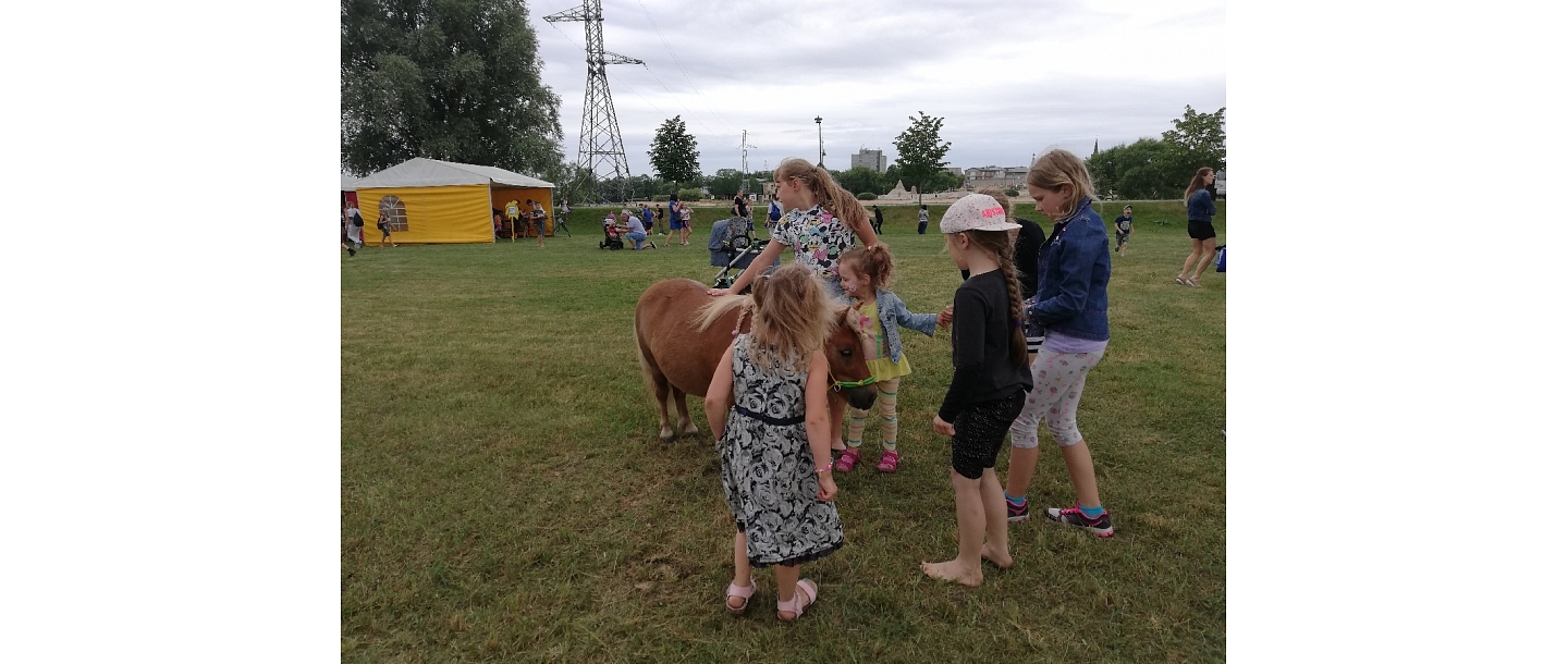 Poniji.lv - пони для мероприятий, для детских вечеринок