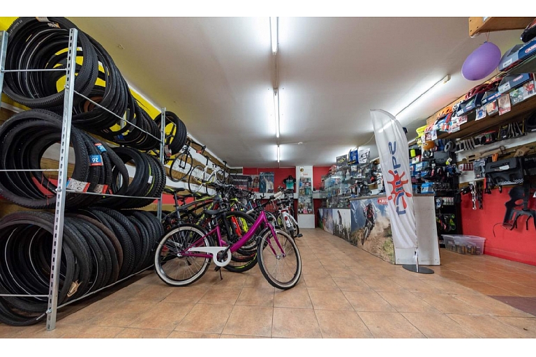 Bicycles from quality manufacturers. Service. Spare parts