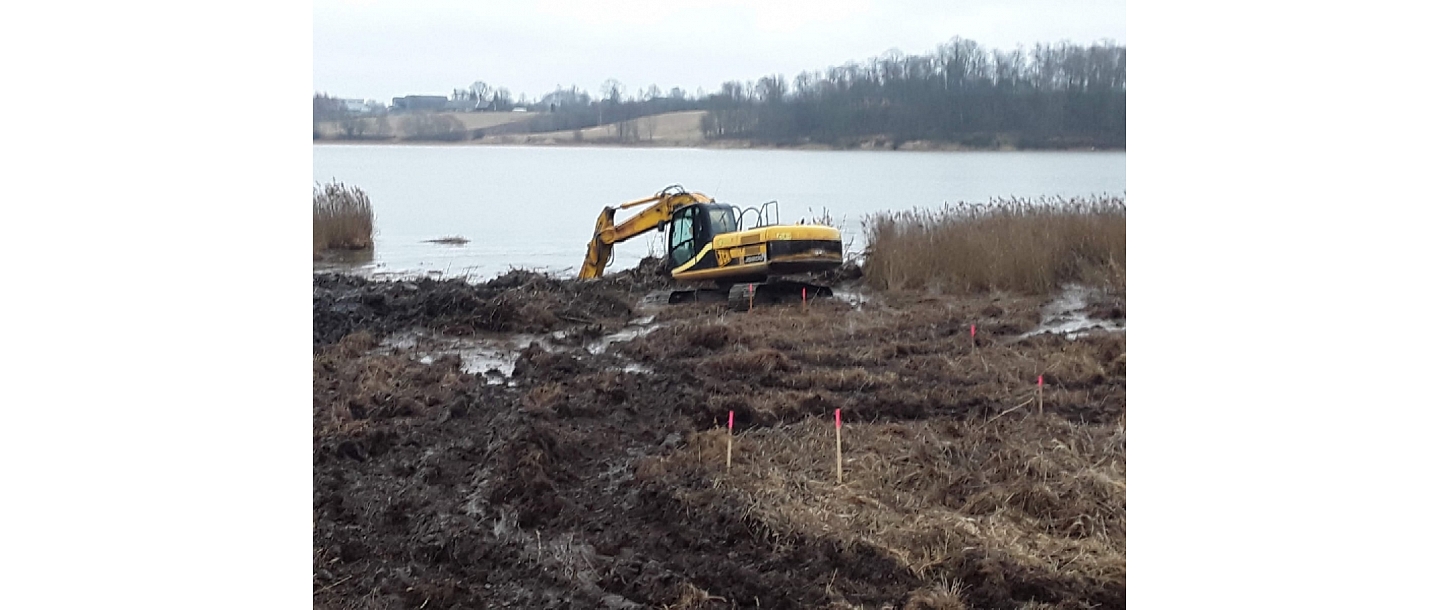 Excavation of water bodies and strengthening of the shoreline
