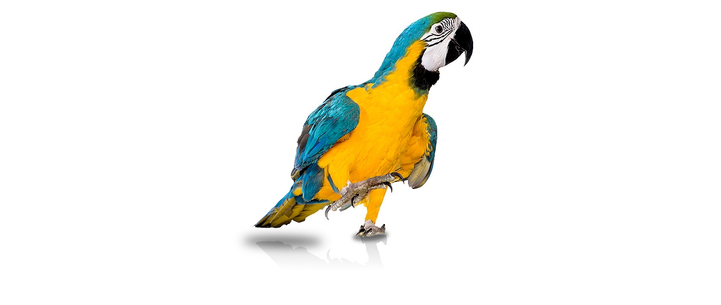 Baltic Media - ISO certified language training company with 30 years of experience