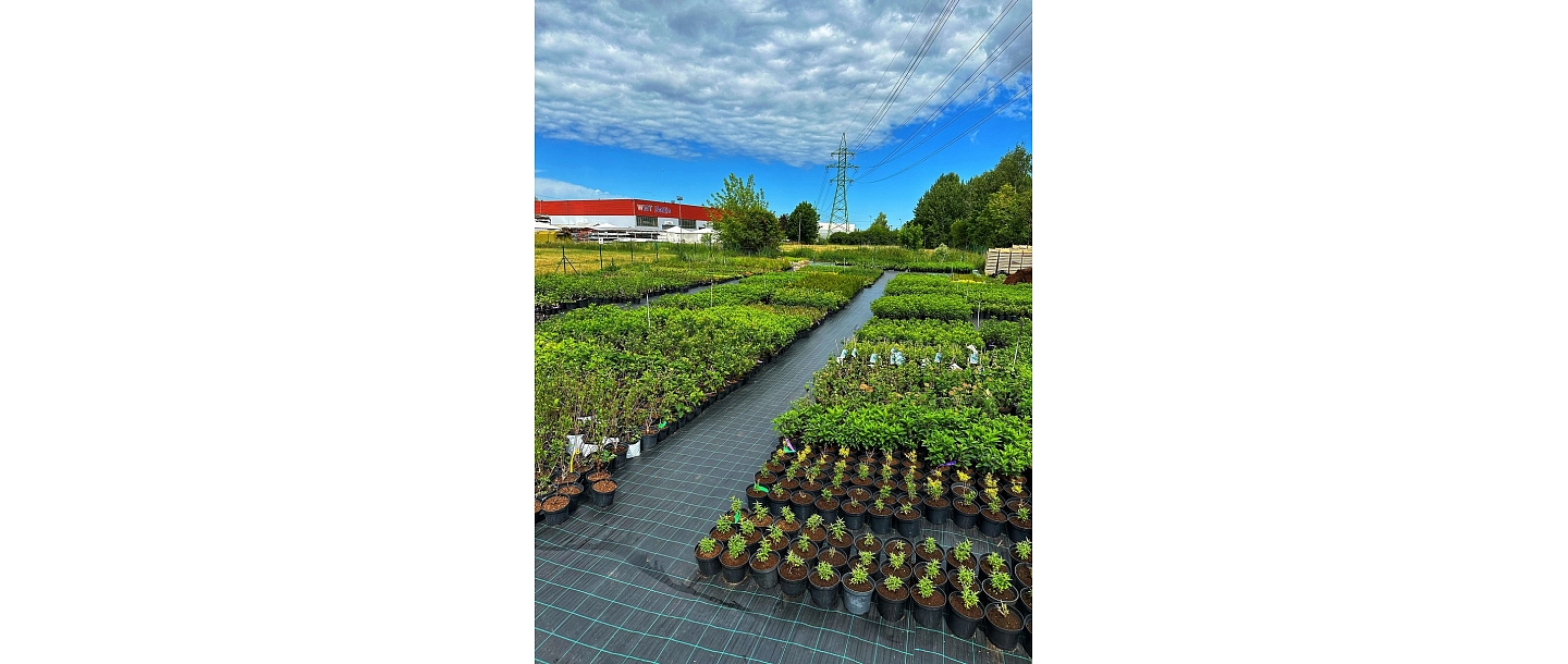 Plant nursery