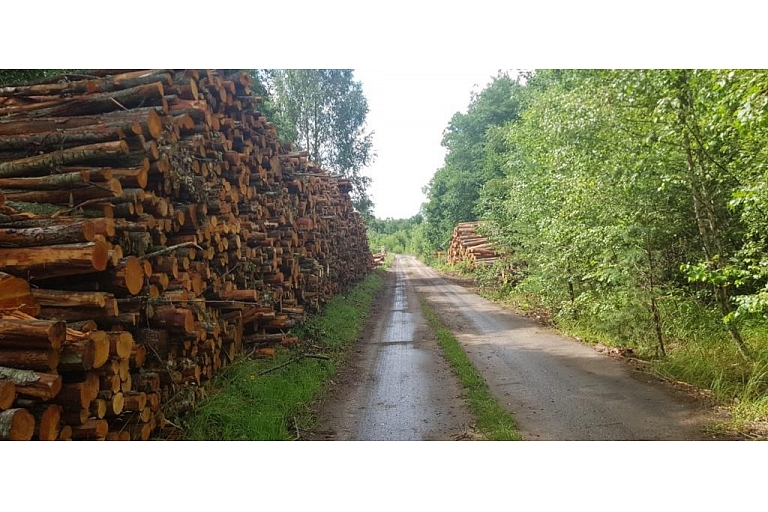"AlderWood", LTD, Logging in Kurzeme