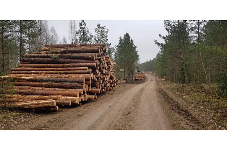 "AlderWood", LTD, Logging in Kurzeme