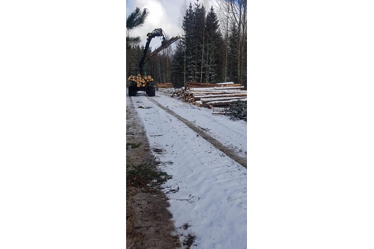 "AlderWood", LTD, Logging in Kurzeme