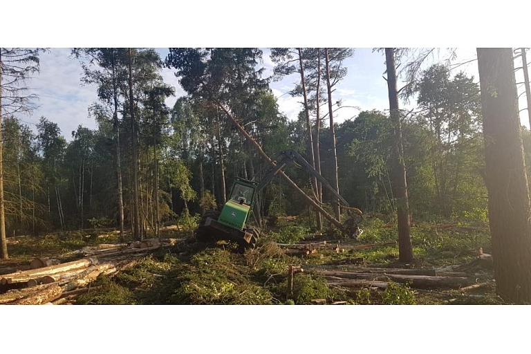 "AlderWood", LTD, Logging in Kurzeme