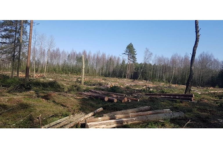 "AlderWood", LTD, Logging in Kurzeme
