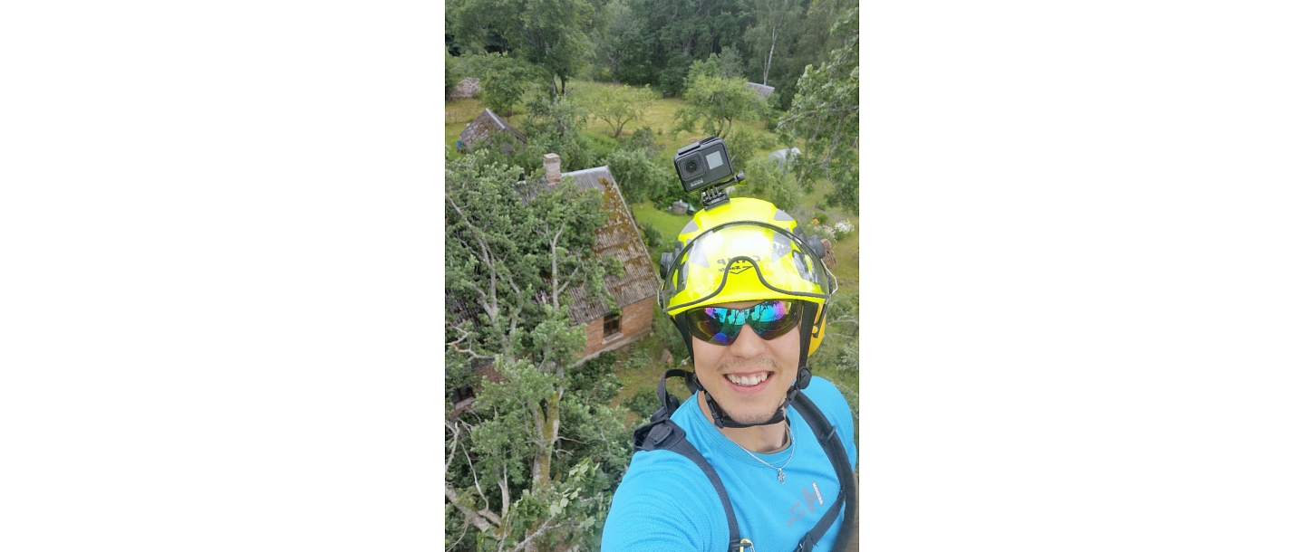 Bīstamo koku zāģēšana, koku kopšana, arborists
