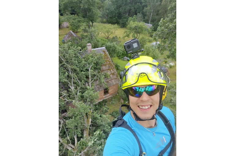 Dangerous tree cutting, tree care, arborist