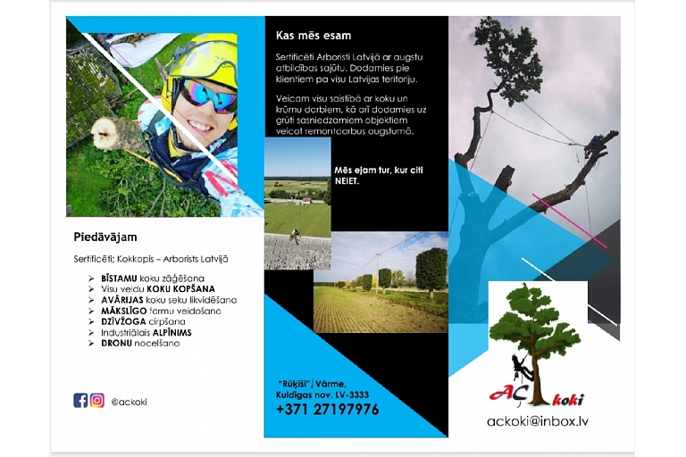 Dangerous tree cutting, tree care, arborist