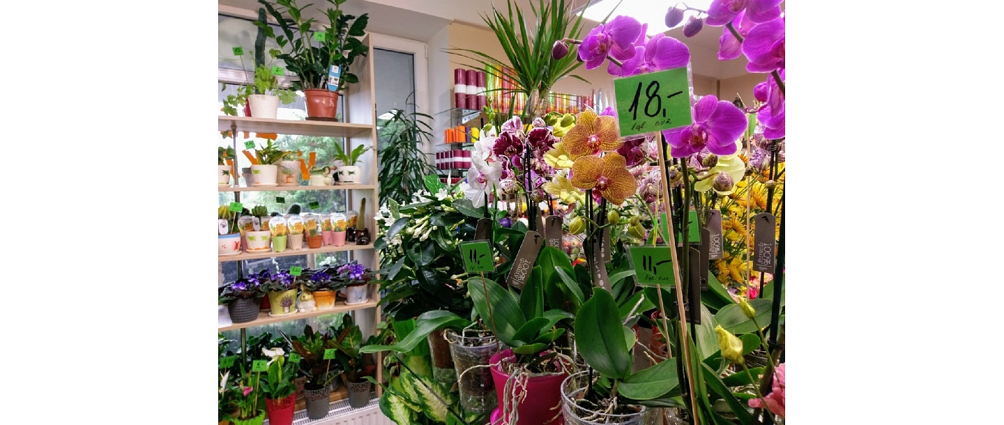 Dārzkopības preču tirdzniecība