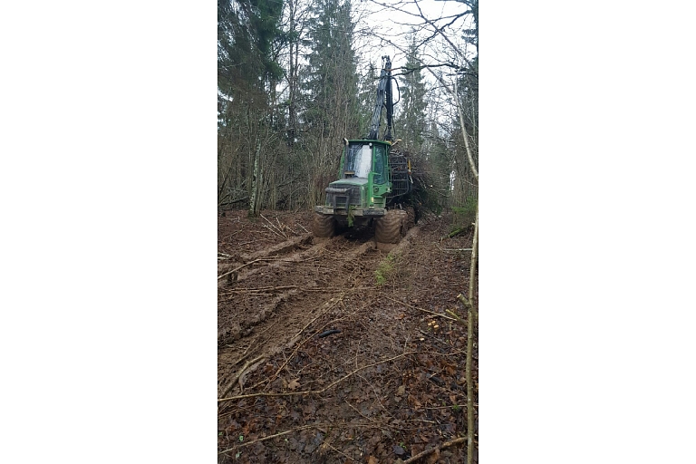 Delivery of woodchips