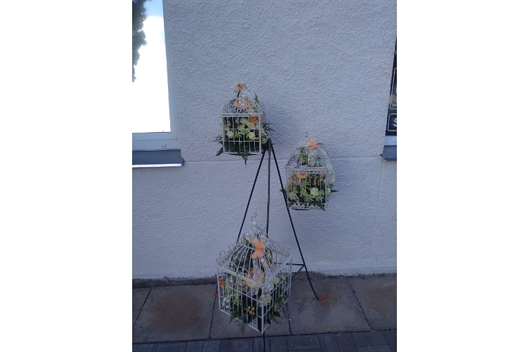 Floristry, Flower shop in Baldone Meldra