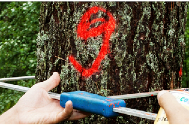 Forest administration