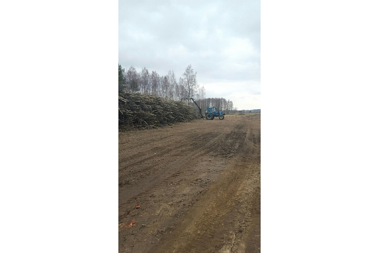 Forvardera pakalpojumi
