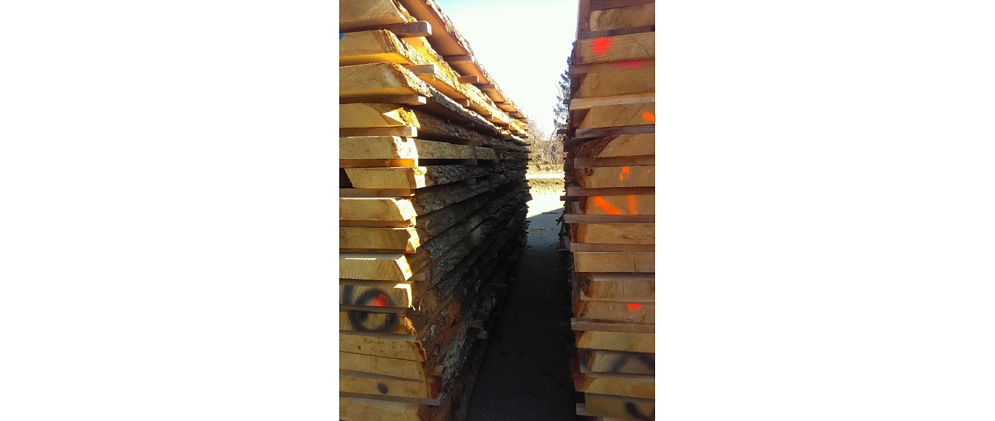 "GM Ozols", SIA, neapzāģētu dēļu ražošana