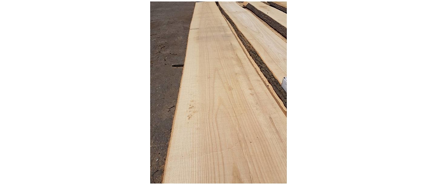 "GM Ozols", SIA, neapzāģētu dēļu ražošana