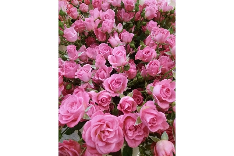 Golden flower, Flower base