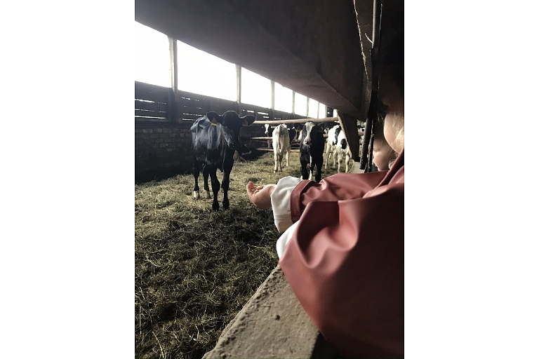 GRAIN PROCESSING AND FEED PREPARATION
