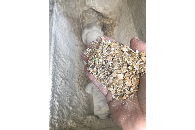 GRAIN PROCESSING AND FEED PREPARATION