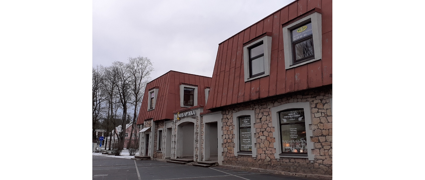 Initas Lēnas Goldšteinas ārsta prakse psihoterapijā