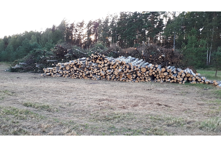 Logging and forestry. Territory cleanup, tree sawing, grass cutting and mulching, wood chipping