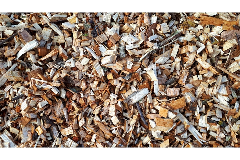 Logging and forestry. Territory cleanup, tree sawing, grass cutting and mulching, wood chipping