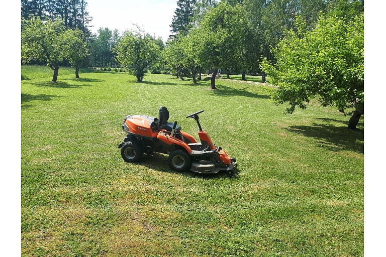 Logging and forestry. Territory cleanup, tree sawing, grass cutting and mulching, wood chipping