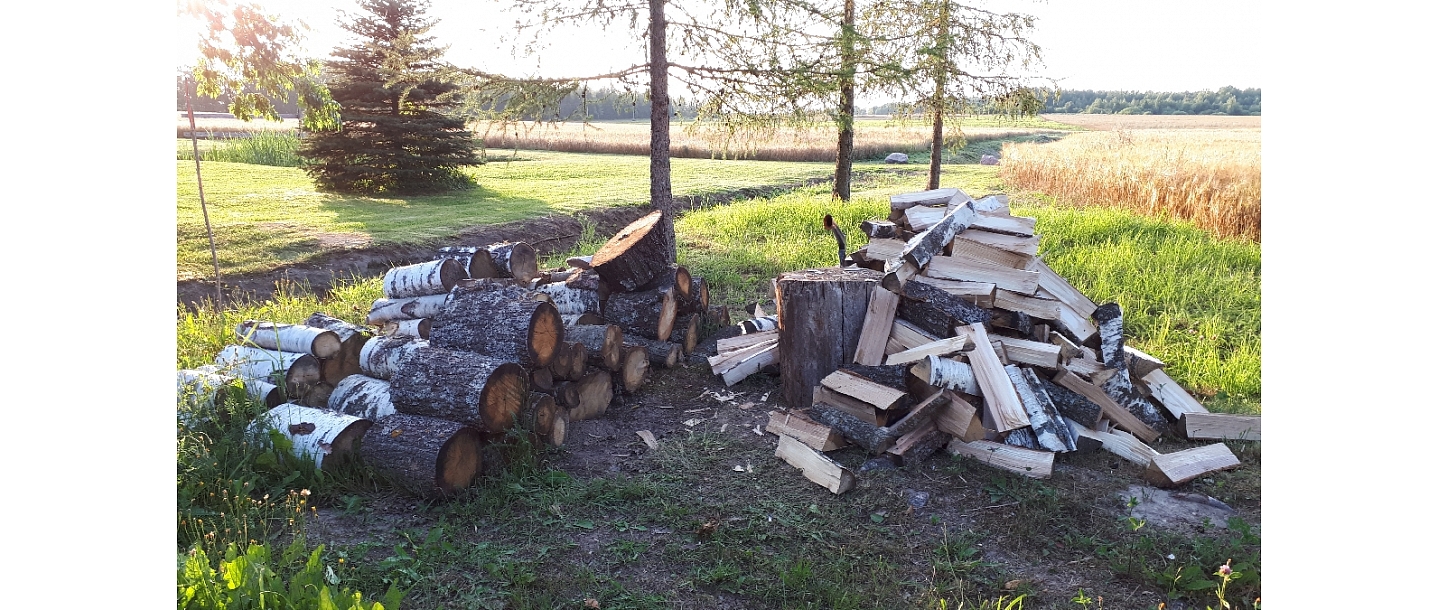 Mežizstrāde un mežkopība. Teritoriju sakopšana, koku izzāģēšana, zāles pļaušana un mulčēšana, zaru šķeldošana