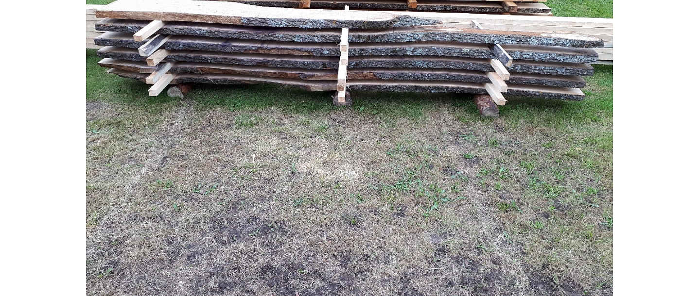 Mežizstrāde un mežkopība. Teritoriju sakopšana, koku izzāģēšana, zāles pļaušana un mulčēšana, zaru šķeldošana