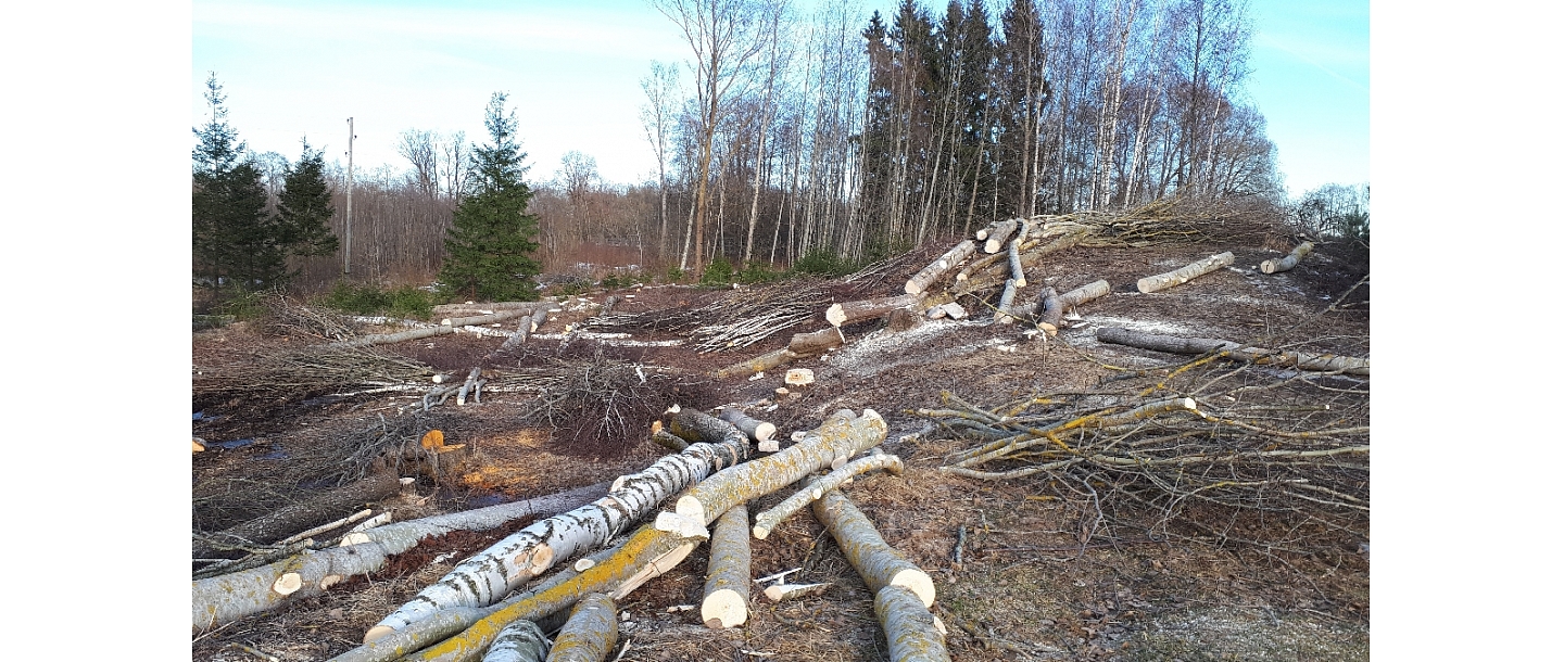 Mežizstrāde un mežkopība. Teritoriju sakopšana, koku izzāģēšana, zāles pļaušana un mulčēšana, zaru šķeldošana