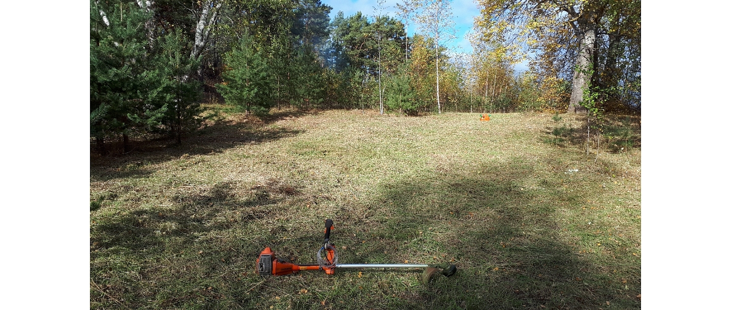 Mežizstrāde un mežkopība. Teritoriju sakopšana, koku izzāģēšana, zāles pļaušana un mulčēšana, zaru šķeldošana