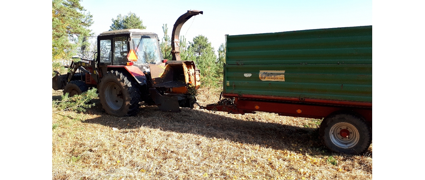 Mežizstrāde un mežkopība. Teritoriju sakopšana, koku izzāģēšana, zāles pļaušana un mulčēšana, zaru šķeldošana