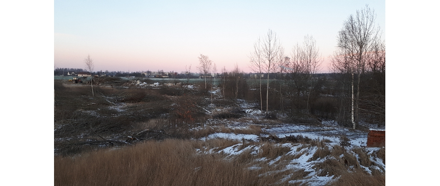 Mežizstrāde un mežkopība. Teritoriju sakopšana, koku izzāģēšana, zāles pļaušana un mulčēšana, zaru šķeldošana