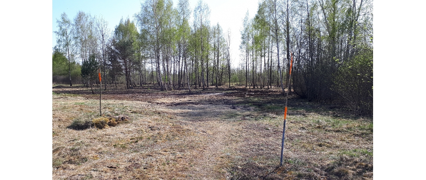 Mežizstrāde un mežkopība. Teritoriju sakopšana, koku izzāģēšana, zāles pļaušana un mulčēšana, zaru šķeldošana