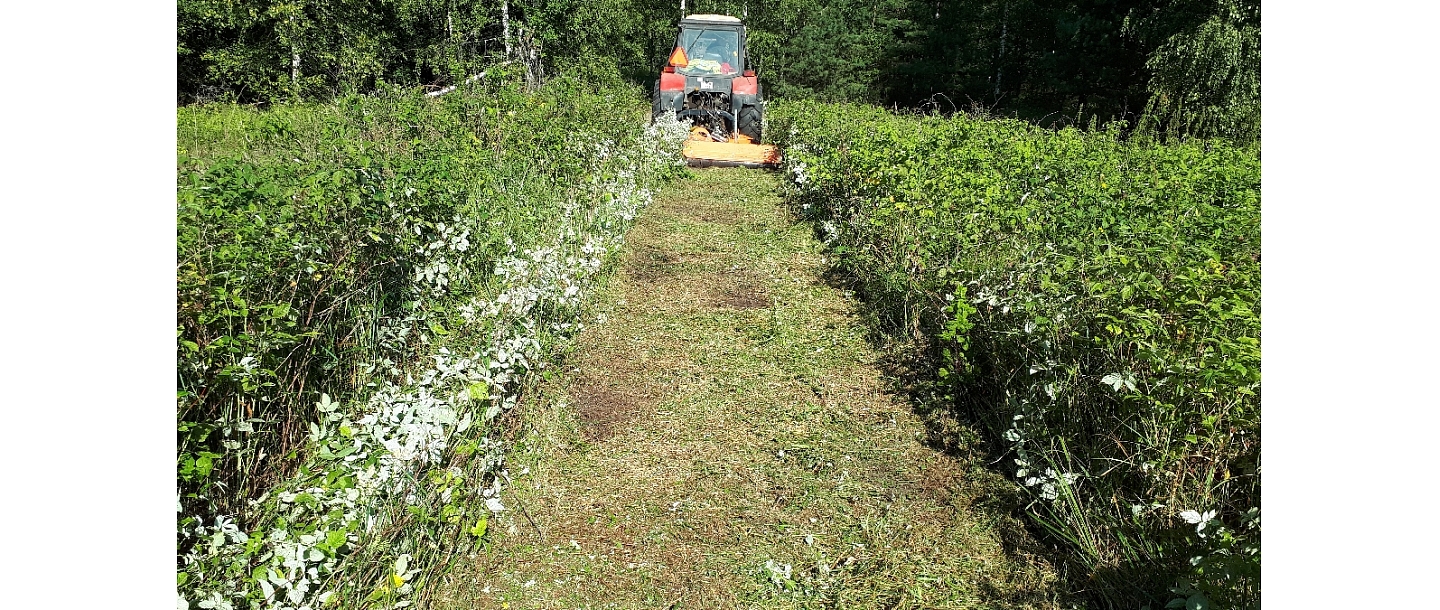 Mežizstrāde un mežkopība. Teritoriju sakopšana, koku izzāģēšana, zāles pļaušana un mulčēšana, zaru šķeldošana