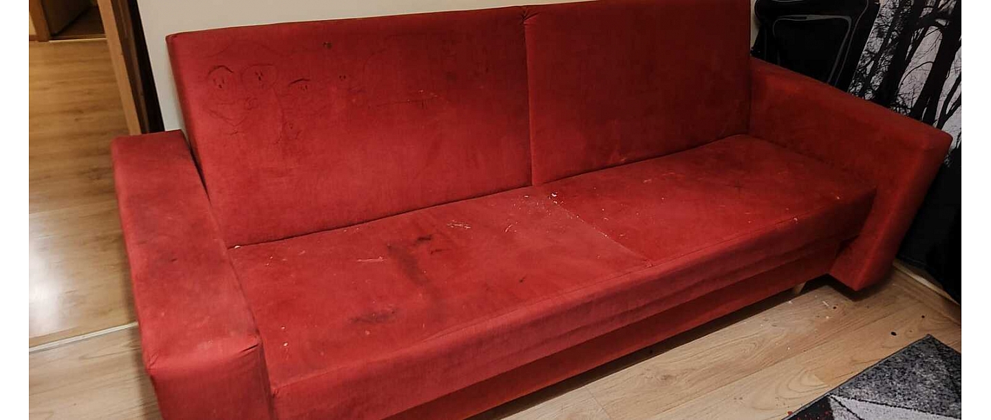 Notīram dzīvnieku spalvas un smakas