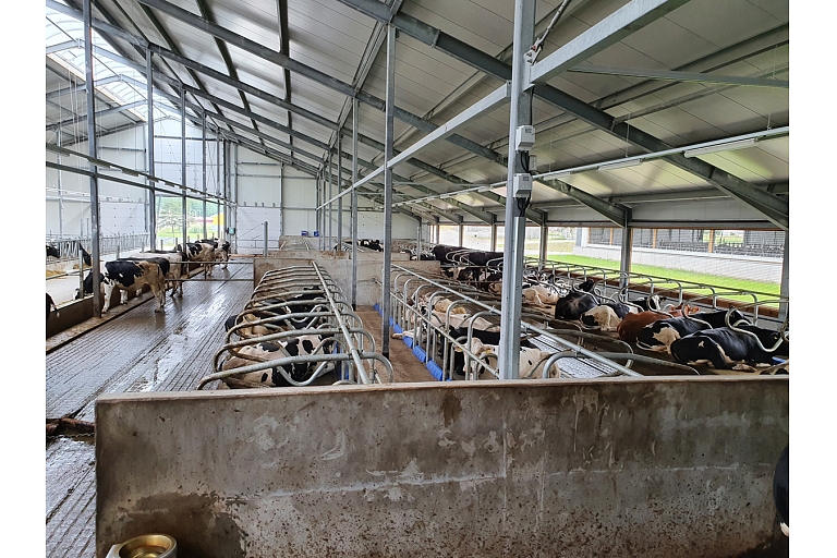 Монтаж и электромонтаж оборудования Delaval для коровьих ферм