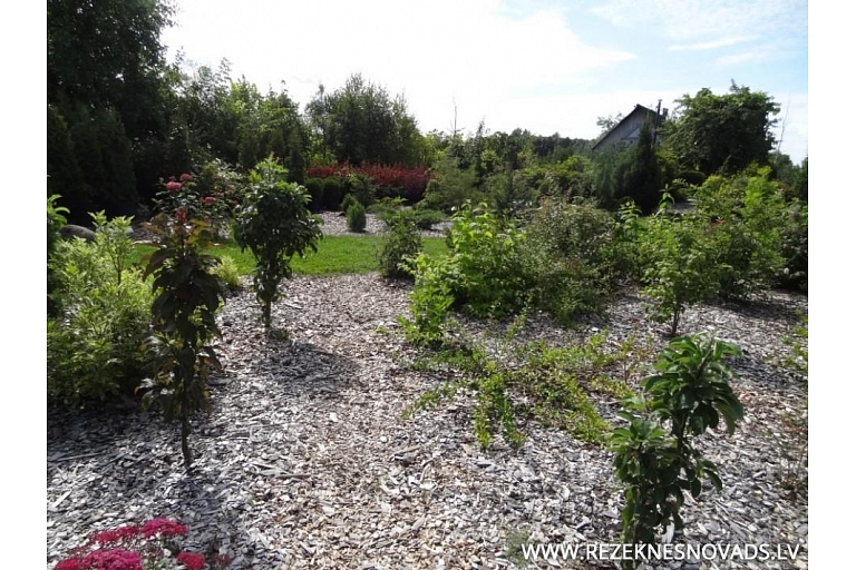 Plant nursery