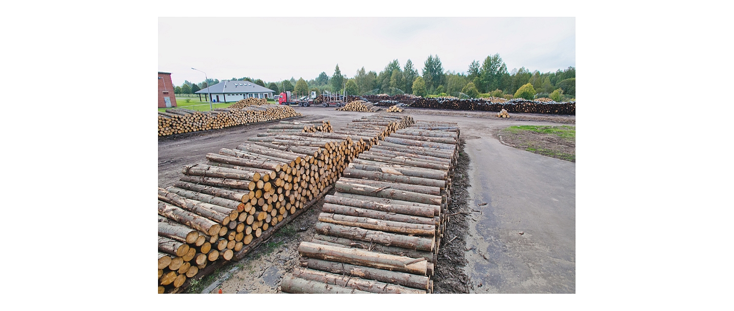 timber drying