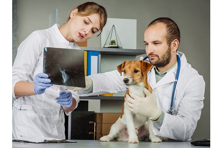 Veterinārā klīnika IKAROSS