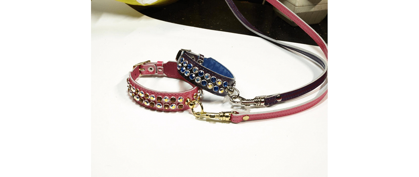 Collars for puppies FLEIT