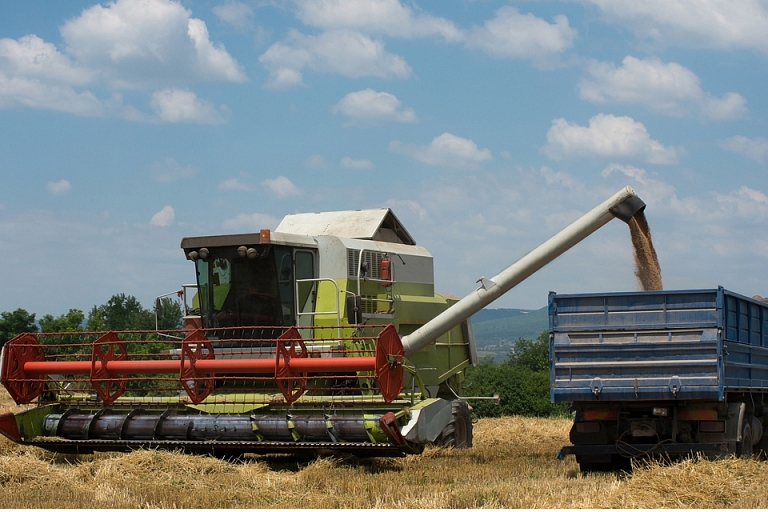 Grain prices