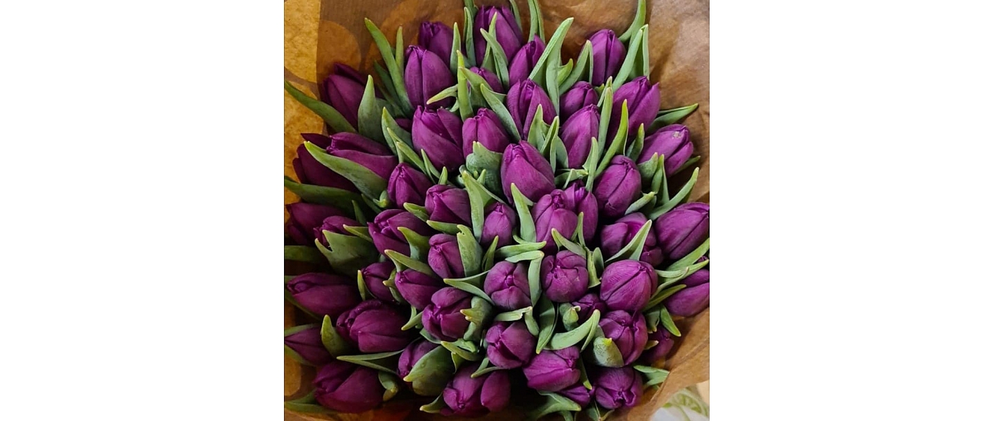 Cut flowers