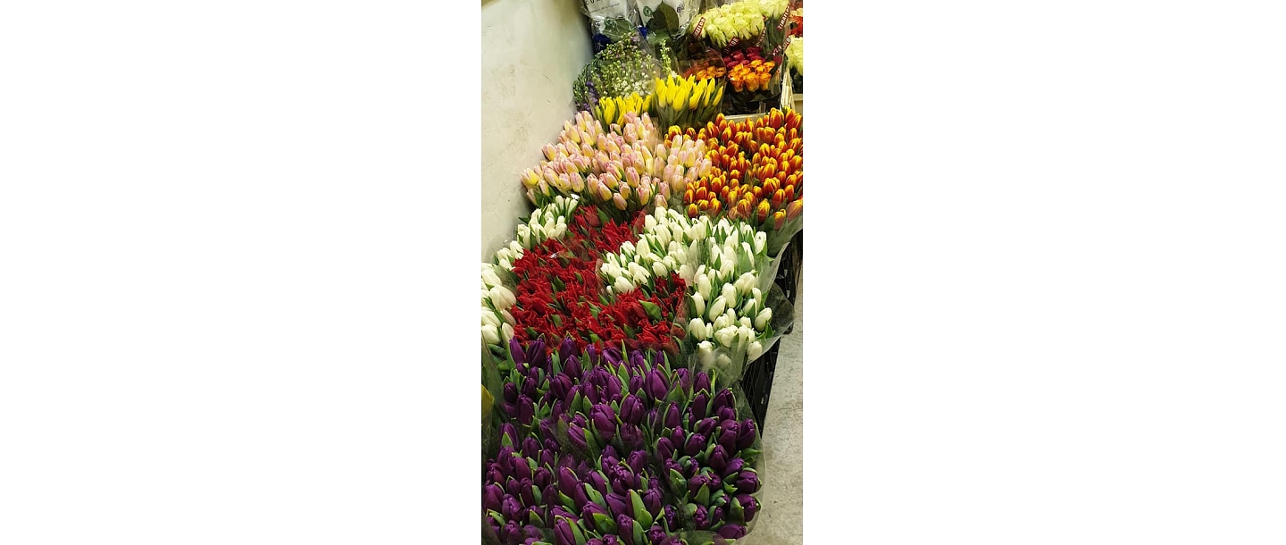 Tulips